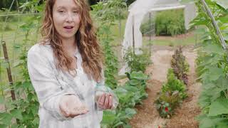 Do This Now For Fresh Vegetables All Winter WITHOUT a Greenhouse