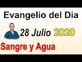 Evangelio Del Dia de Hoy - Martes Julio 28 2020- La Cizaña de Nuestros Tiempos - Sangre y Agua