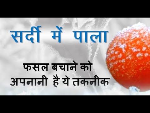 वीडियो: फसल संरक्षण के लिए इलेक्ट्रिक ड्रायर: कैसे चुनें?