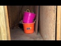 Keep Mice out of your chicken coop and barns! Keep Mice out of your chicken coop and barns!