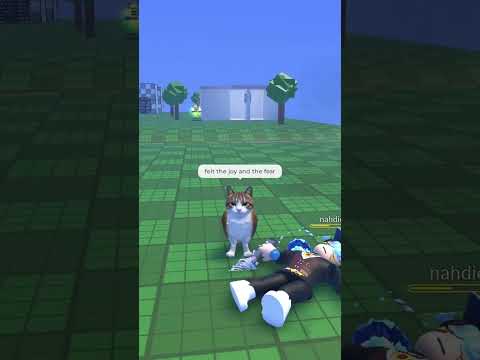 Meowl Meme Meowl Roblox