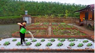 Download Lagu Transform a vacant plot of land into a clean, organic vegetable garden -- Dream space MP3