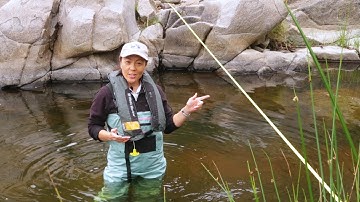 FlowTracker2 Training Chapter 1 - Introduction to the FlowTracker2