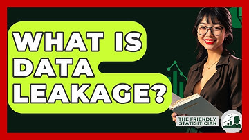 What Is Data Leakage? - The Friendly Statistician