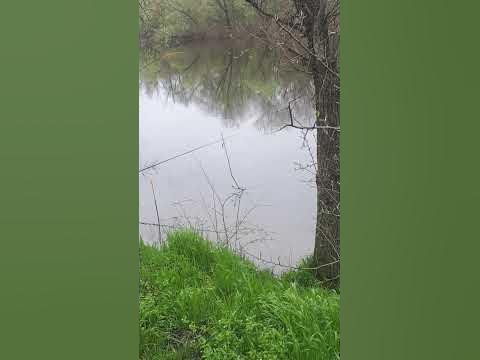 крупный улов - YouTube