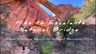 Natural Bridge Trail | Amazing Hidden Gem in Escalante Utah + Coffee Stop 4 minutes with @findinAway