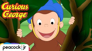 George Saves A Baby Bird Curious George