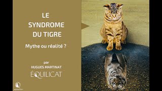 Le syndrome du tigre par Hugues Martinat d'EQUILICAT