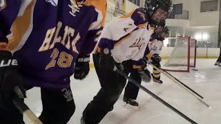 Come Try Ringette