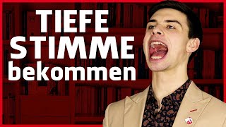 Stimme