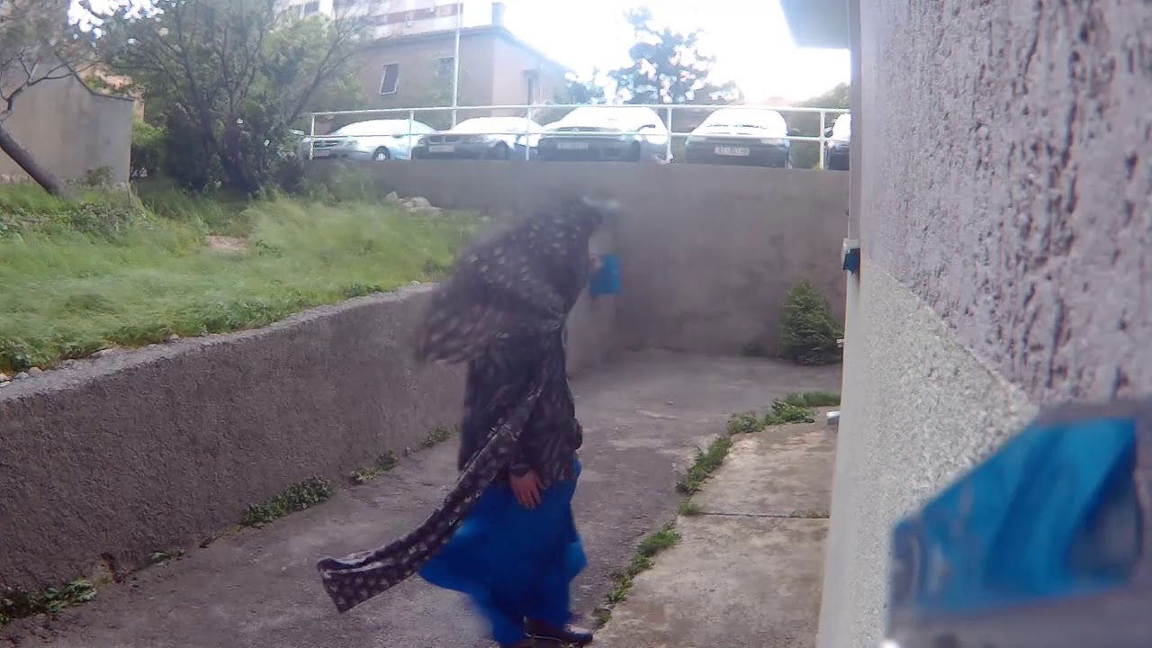 Completely windblown