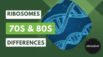Ribosomes Explained || 70s & 80s Differences