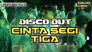 DISCO DANGDUT - CINTA SEGI TIGA - REMIX ENAK [ DAVIT LEIN ] 🌴