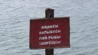 В Апанасенковском округе рыбаки не могут рыбачить в местном водоёме