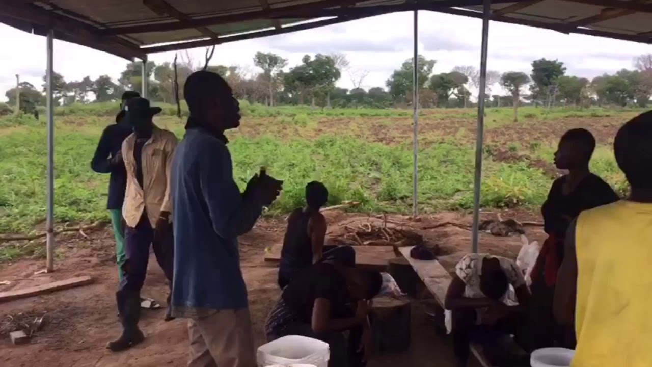 Youth Feed Ghana Project