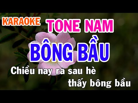 Bông Bầu Karaoke Tone Nam Nhạc Sống - Phối Mới Dễ Hát - Nhật Nguyễn