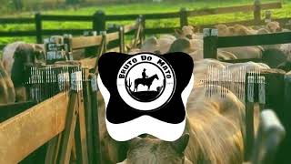 Download Lagu LÉO E RAPHAEL AGRO E TOP (COM GRAVE) Download Lagu LÉO E RAPHAEL AGRO E TOP (COM GRAVE)