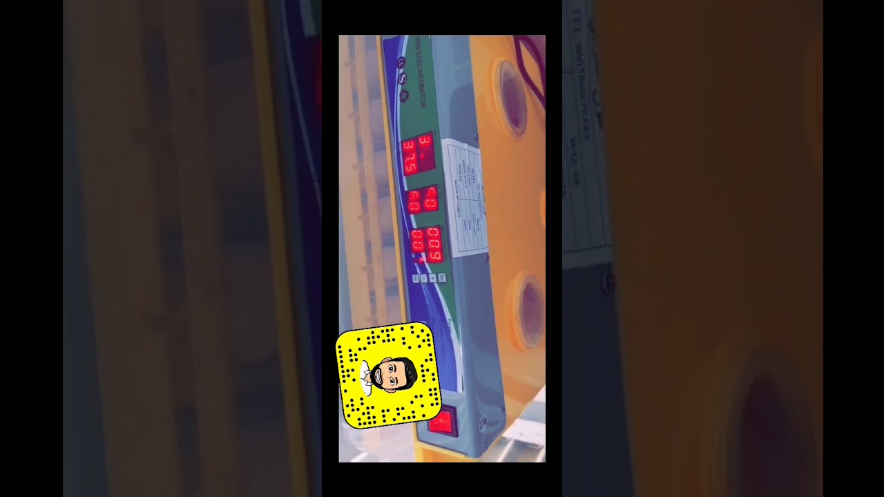 برمجة فقاسه 98مع طريقة وضع البيض