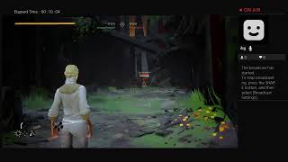 Absolver lower level PVP