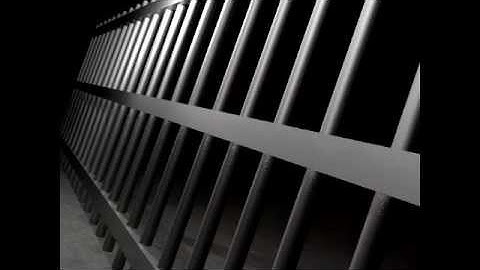 The Tim White Show - Life lessons learned the hard way!