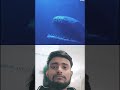 monster..#trending #viralvideo #facts #shortsviral