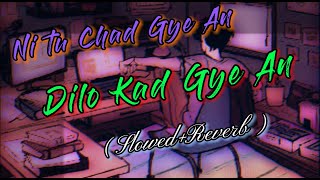 Ni tu Chad Gye ann | Dilo Kad Gye ann | SLOWED & REVARB