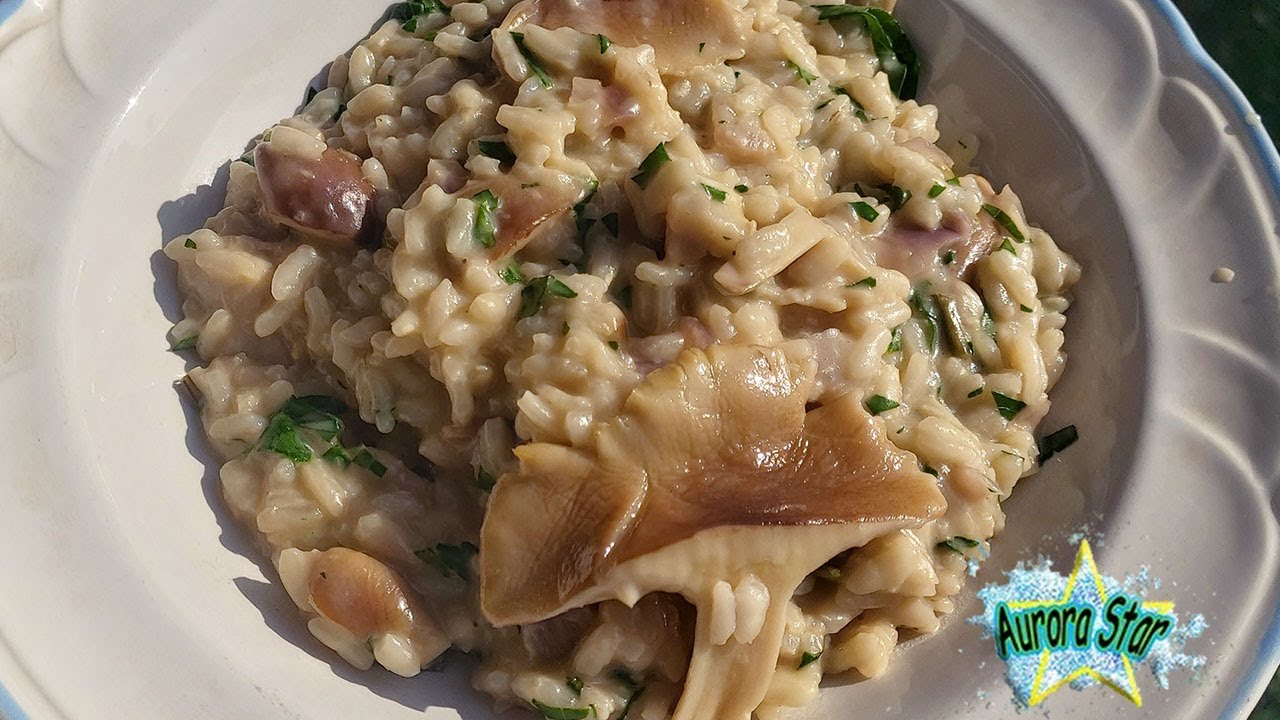 Ricetta risotto con funghi pioppini YouTube