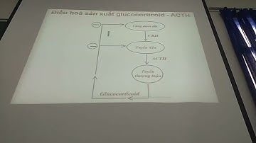 Dược lý 2  Hormon tuyến thượng thận cô Trang