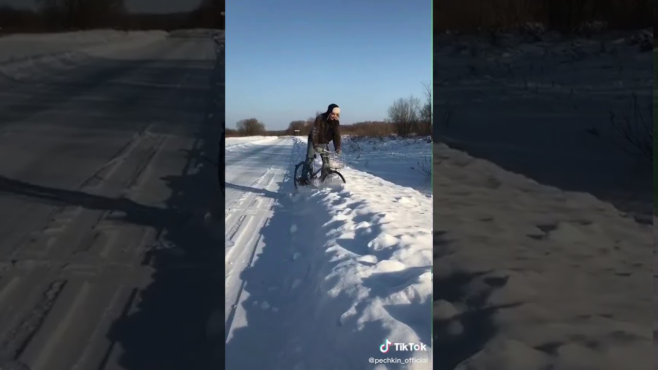 Что Такое Бебра Фото Бебры