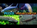 Peces Prehistóricos que podemos mantener| Top 5