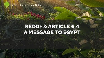 REDD+ And Article 6.4, A Message To Egypt For COP27