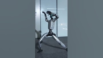 Unitree Robot NEW KungFu video