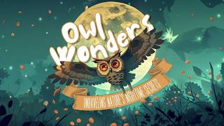 🦉 Owl Wonders! Amazing Nighttime Secrets Every Child Should Know | Educational Story for Kids