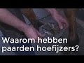 Waarom hebben paarden hoefijzers? | Het Klokhuis