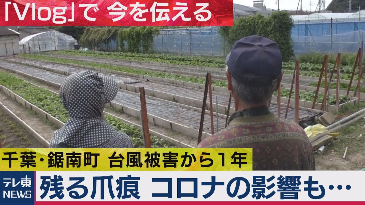 「Vlog」千葉・鋸南町 台風被害から1年（2020年10月30日）