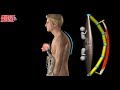 Myofacia approach for forward-head posture