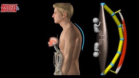 Myofacia approach for forward-head posture