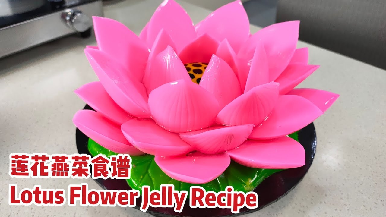 莲花燕菜食谱lotus Flower Jelly Recipe Youtube