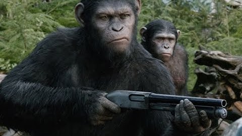 Affe mit Waffe