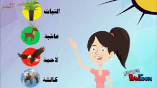 تصنيف الكائنات الحية حسب الغذاء | تعليم أطفال | امرح وتعلم