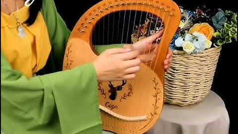 cega 19 lyre harp cover