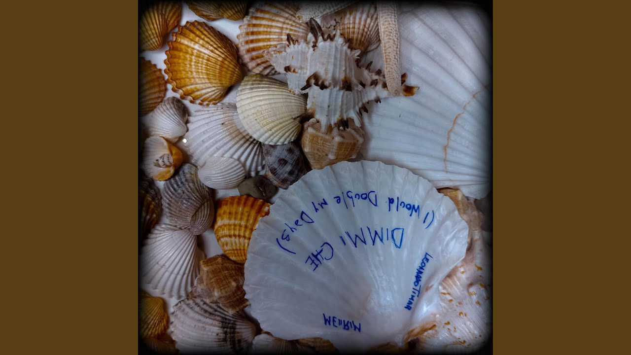 DIMMI CHE (I would double my days) (feat. leonardoTimar)