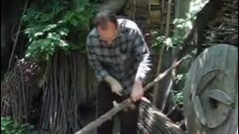 Making a Hazel Longbow - Part I - The cutting