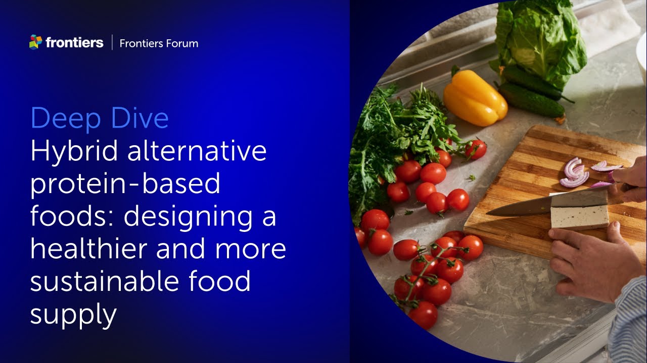 David Julian McClements, David Kaplan, and colleagues | Hybrid alternative protein-based foods