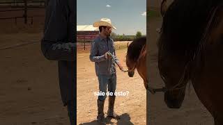 ¿Cuánto vale un caballo de calidad en Jalisco?