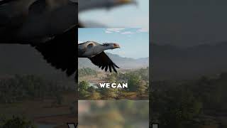  Are Cetaceans Controversial For Planet Zoo 2  planetzoo planetzoo2