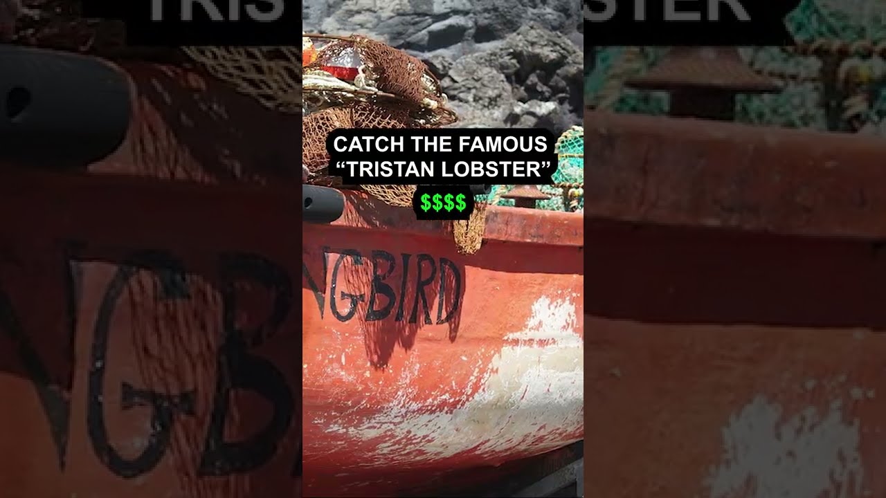 Тристан-да-Кунья &mdash; самый изолированный город в мире. Самое отдалённое сообщество на Земле!