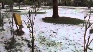 لليوم الثالث طقس سئ بدمياط screenshot 5