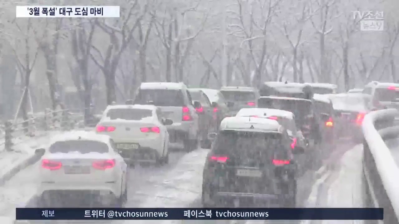 3월 폭설에 대구 곳곳 '무너지고 막히고'