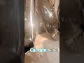 Cat rain 😜😄 #trending #love #viral #fyp#cats#little#cute